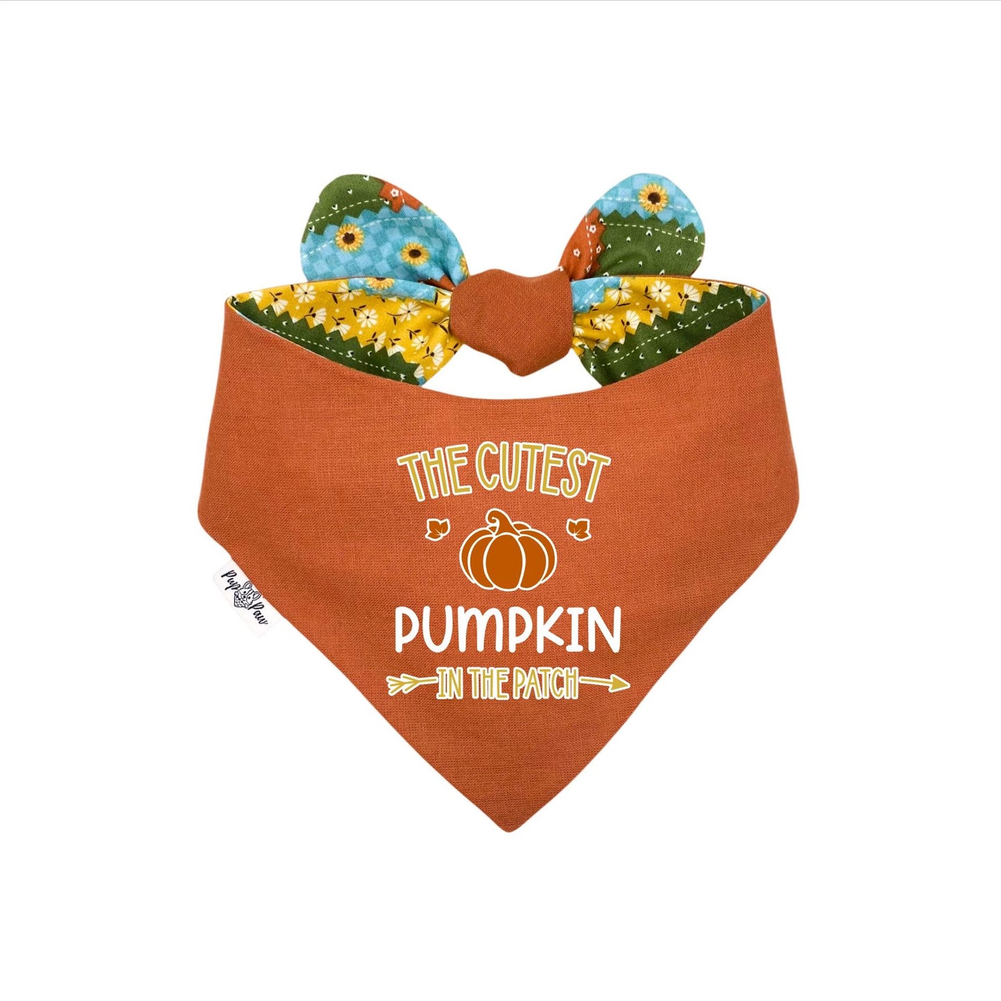 Cozy Stitches