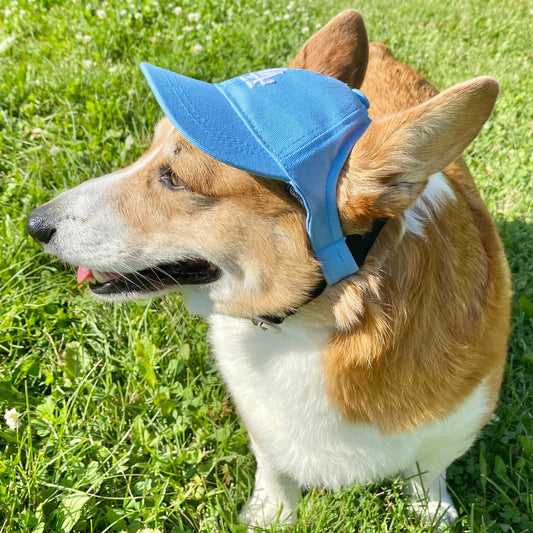 PupPaw Sky Blue Hat