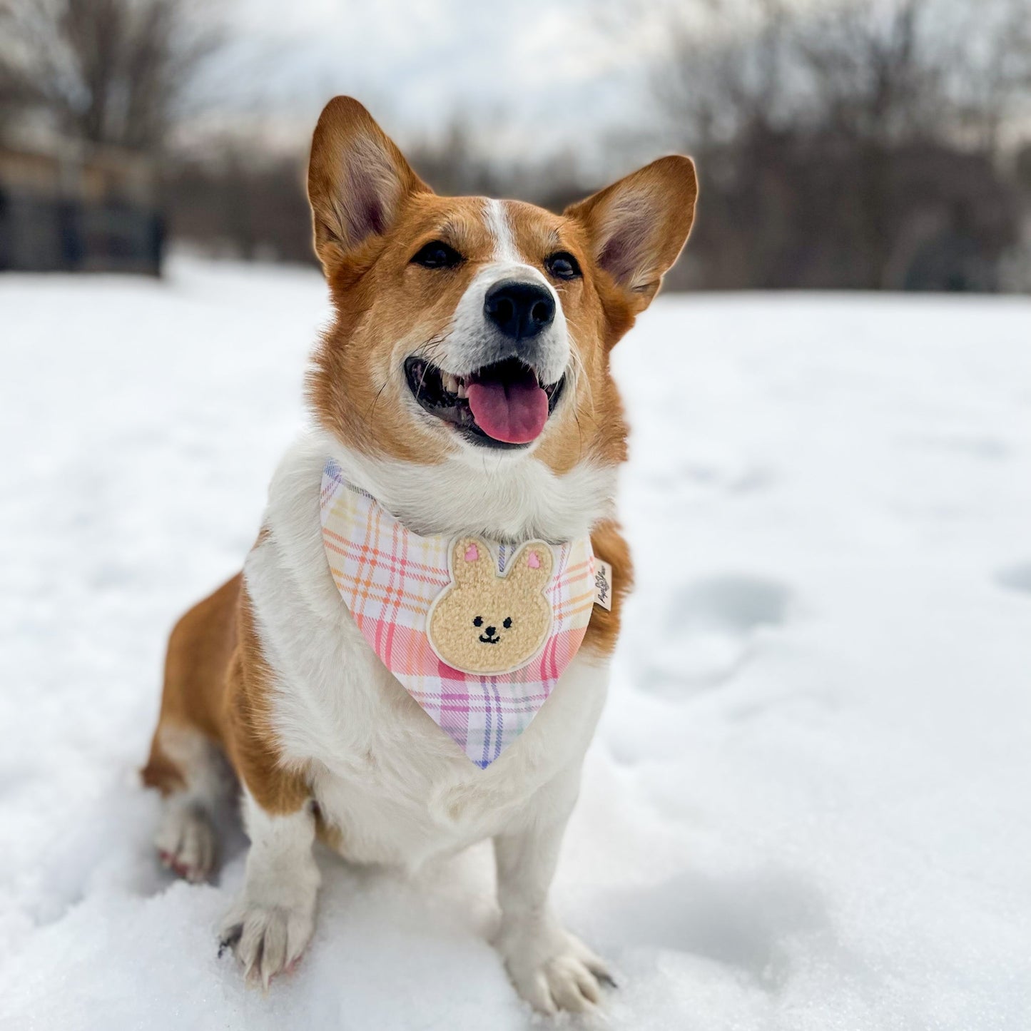 Pup Paw Apparel Co. - Bunny Patch - Dog Apparel