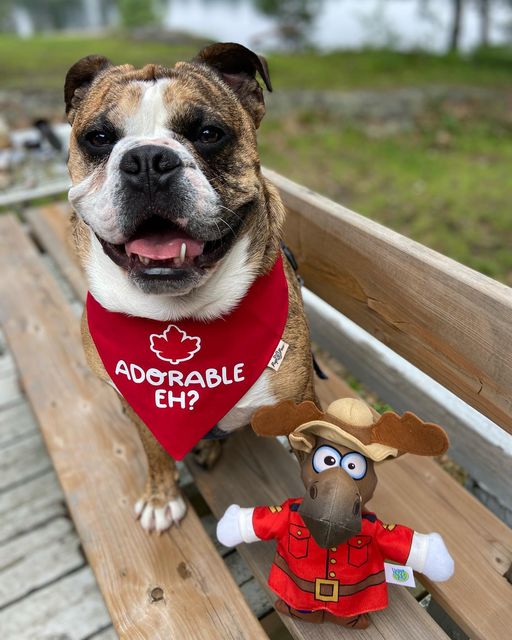 Canada Day Designs
