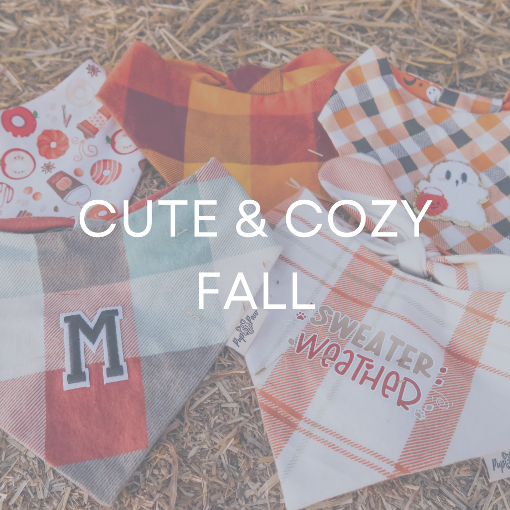 Cute & Cozy Fall