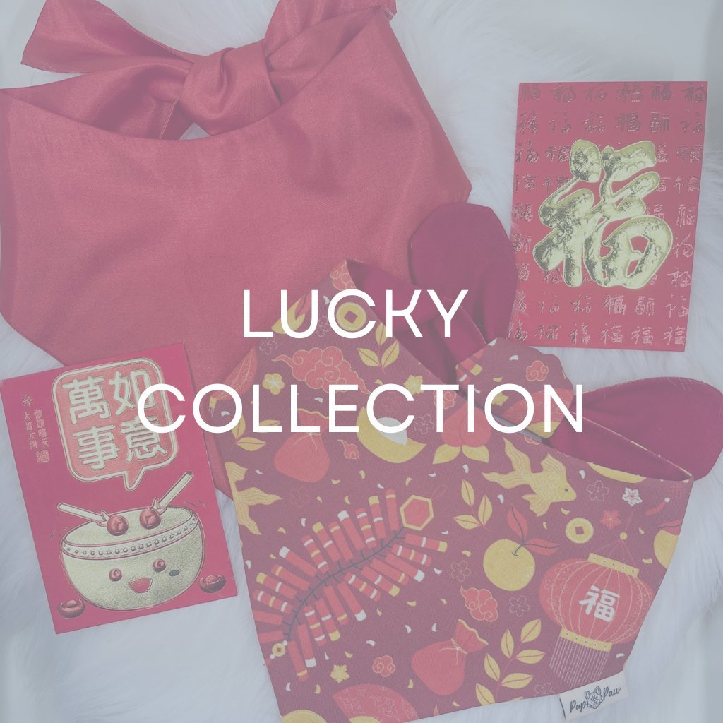 Lunar New Year Collection - Pup Paw Apparel Co.