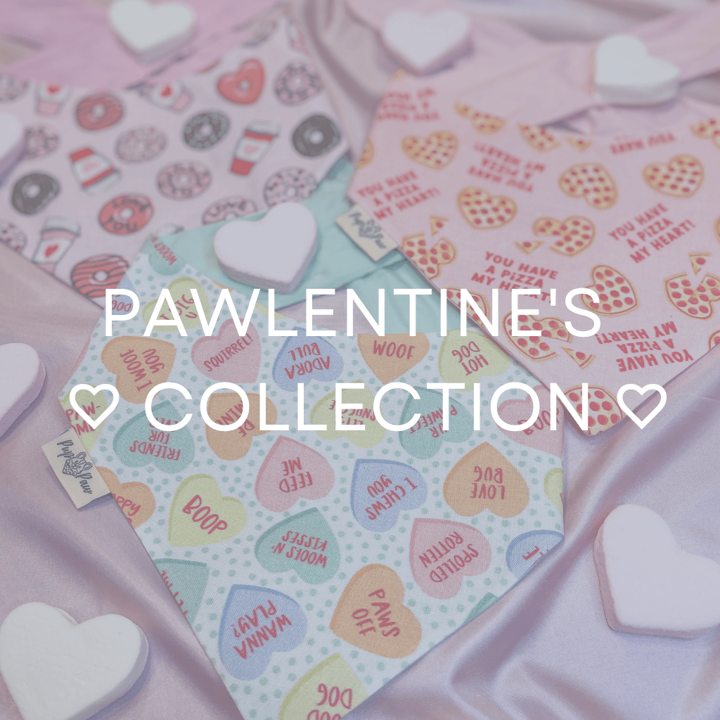 Valentine's Day Collection - Pup Paw Apparel Co.