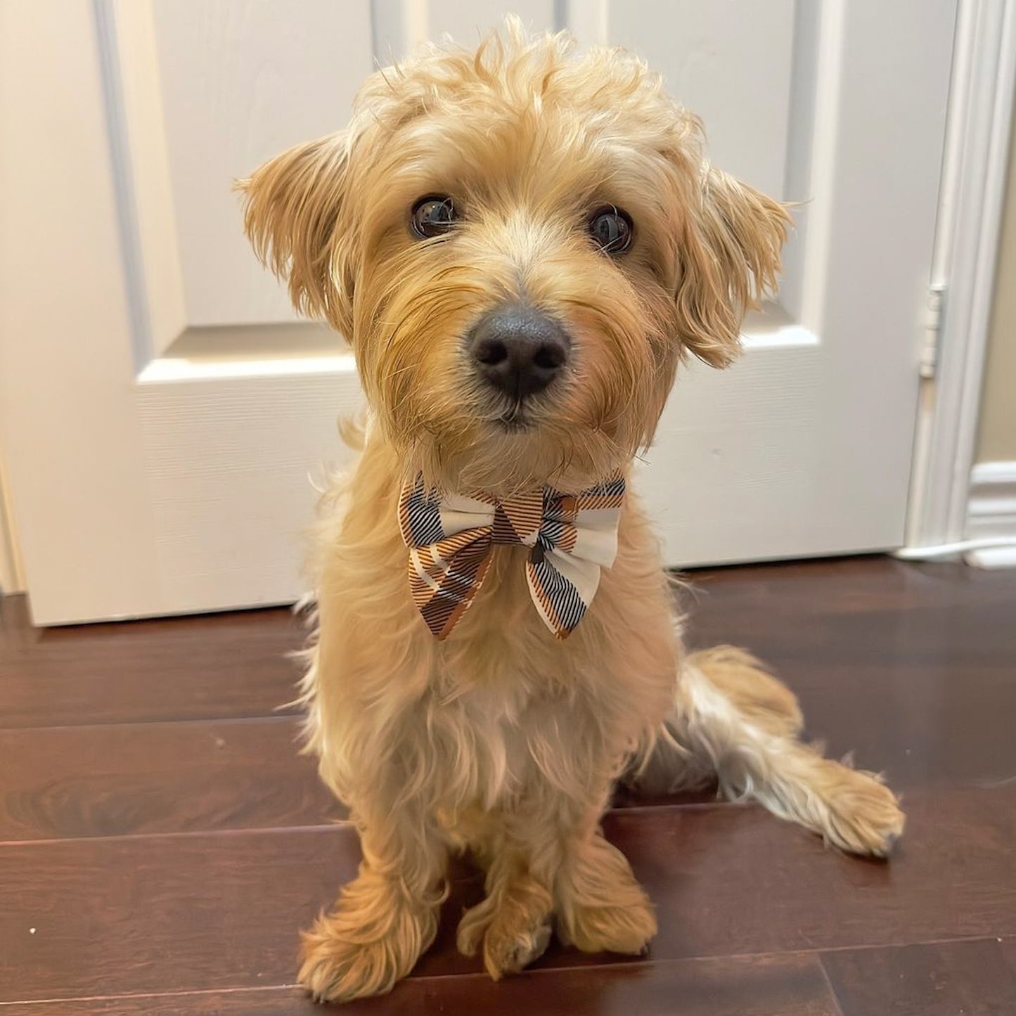 Brown Plaid Bowtie