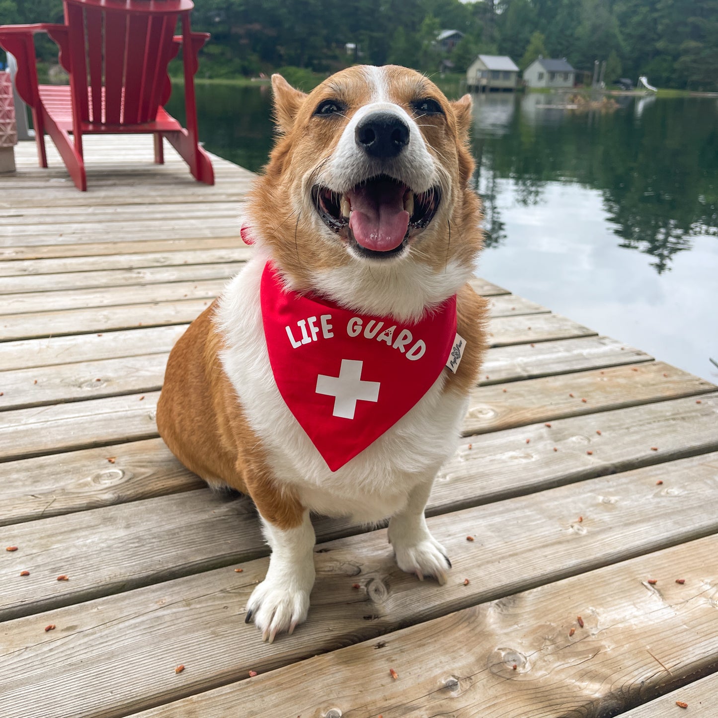 Lifeguard