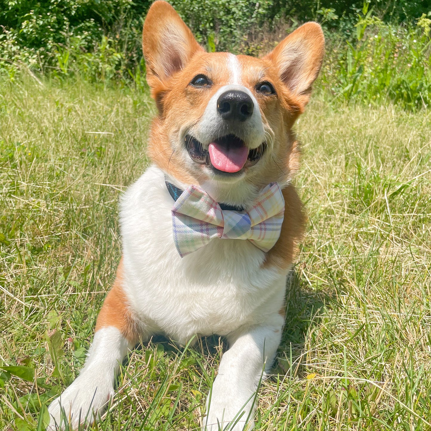 Spring Plaid Bowtie