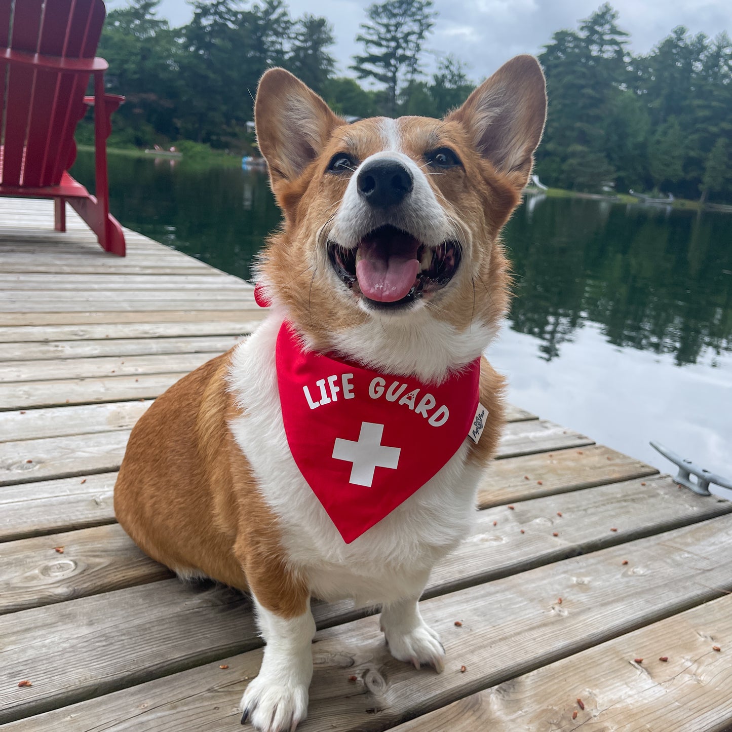 Lifeguard