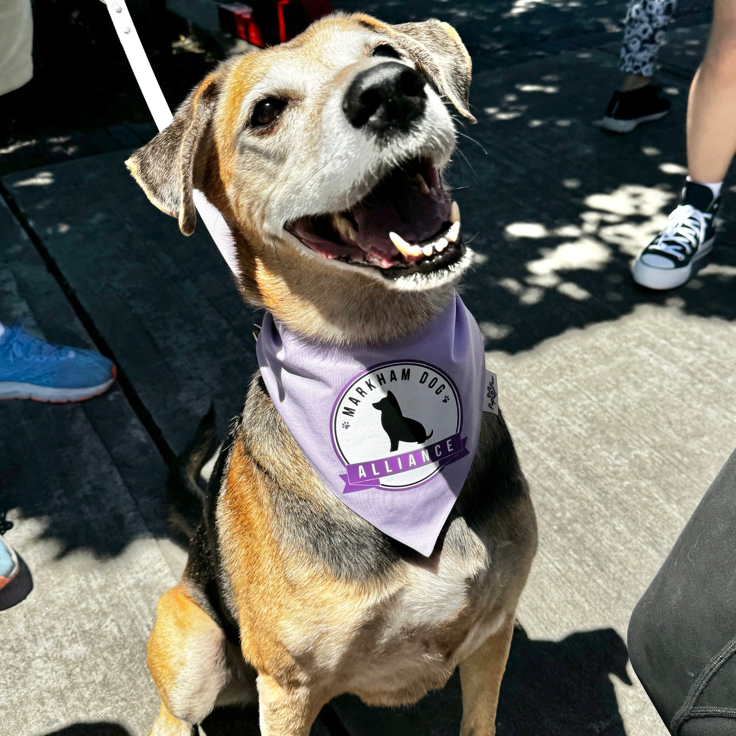 Custom PupPaw Bandana