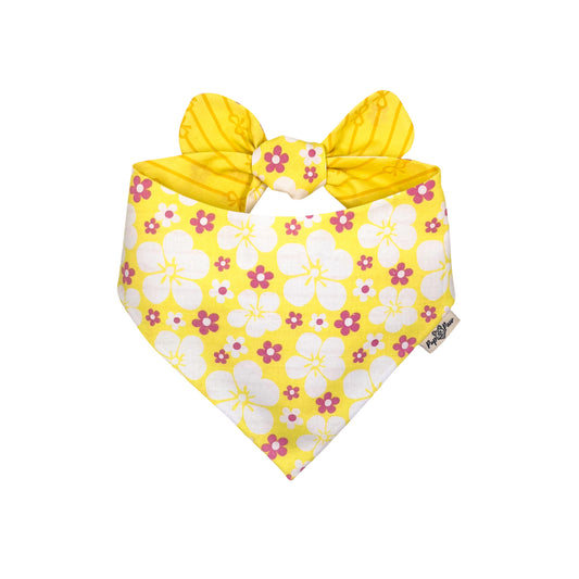 Daisy Daydream