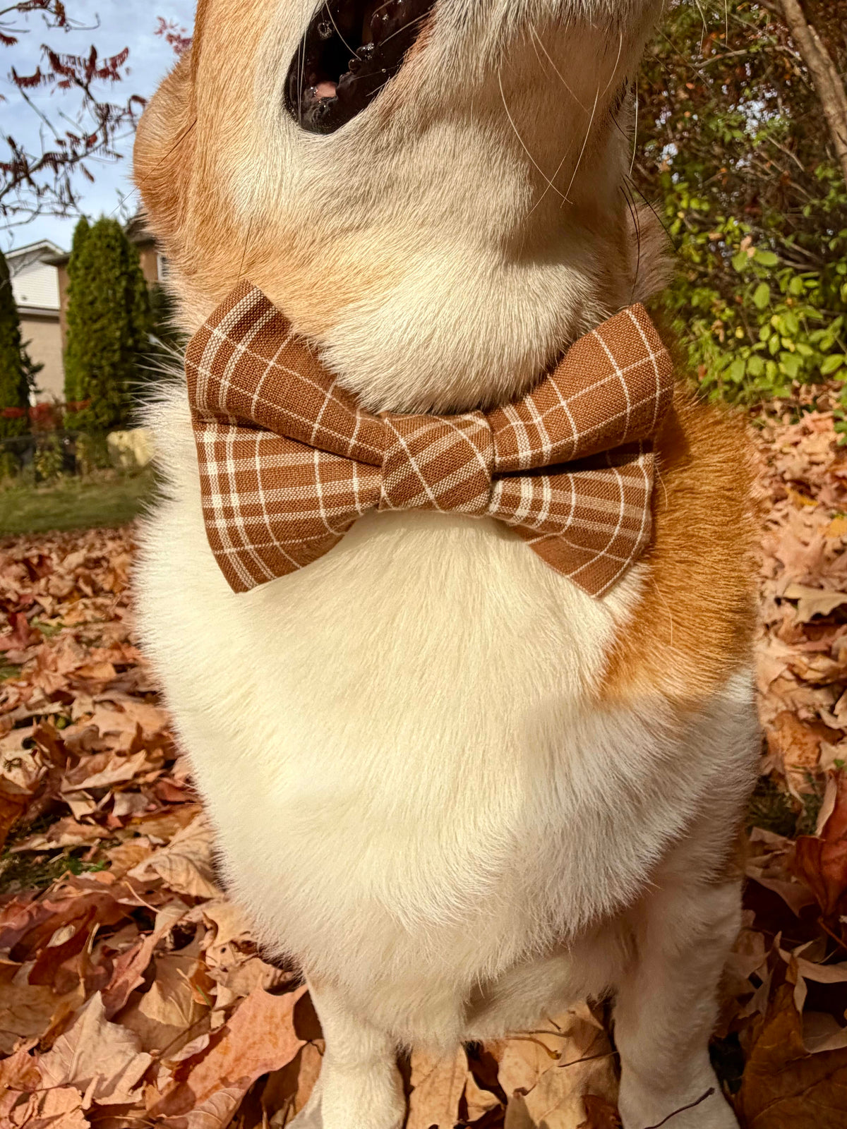 Brown Plaid Fluffy Bowtie