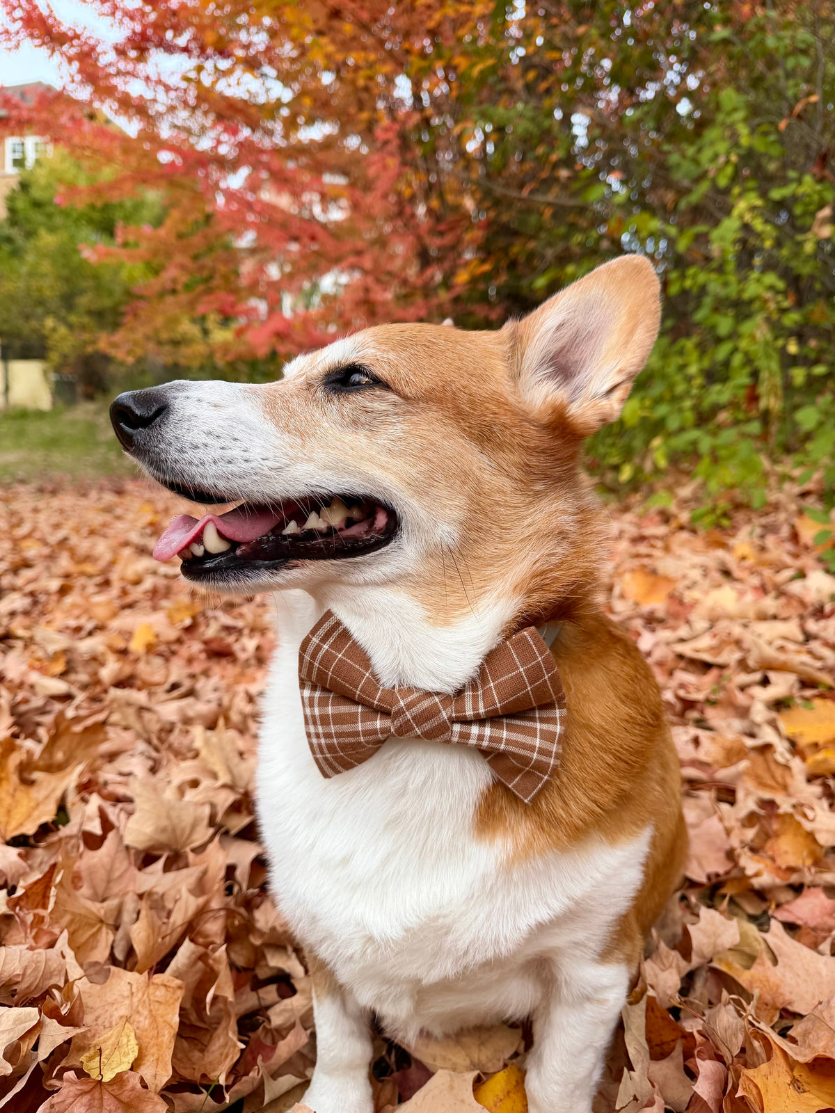 Brown Plaid Fluffy Bowtie