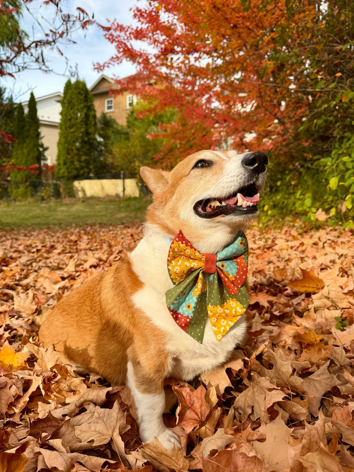 Fall Fluffy Sailor Bowtie