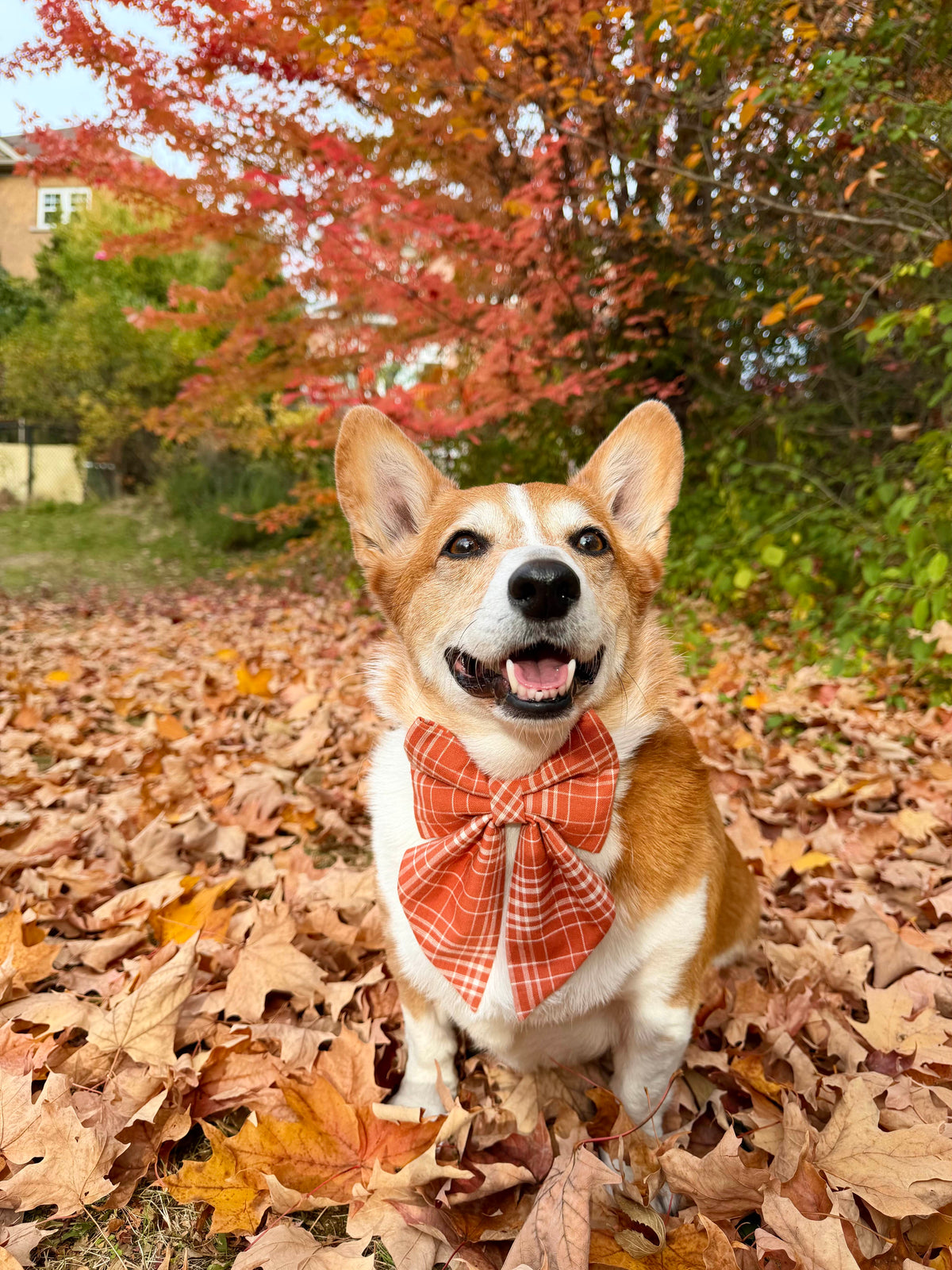 Fall Fluffy Sailor Bowtie