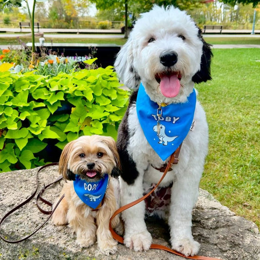 Custom PupPaw Bandana