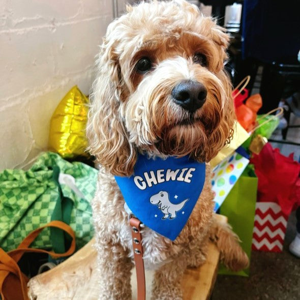 Custom PupPaw Bandana