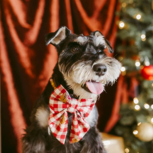 Holiday Fluffy Sailor Bowtie
