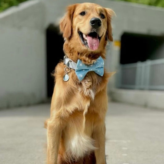 Starboy Bowtie