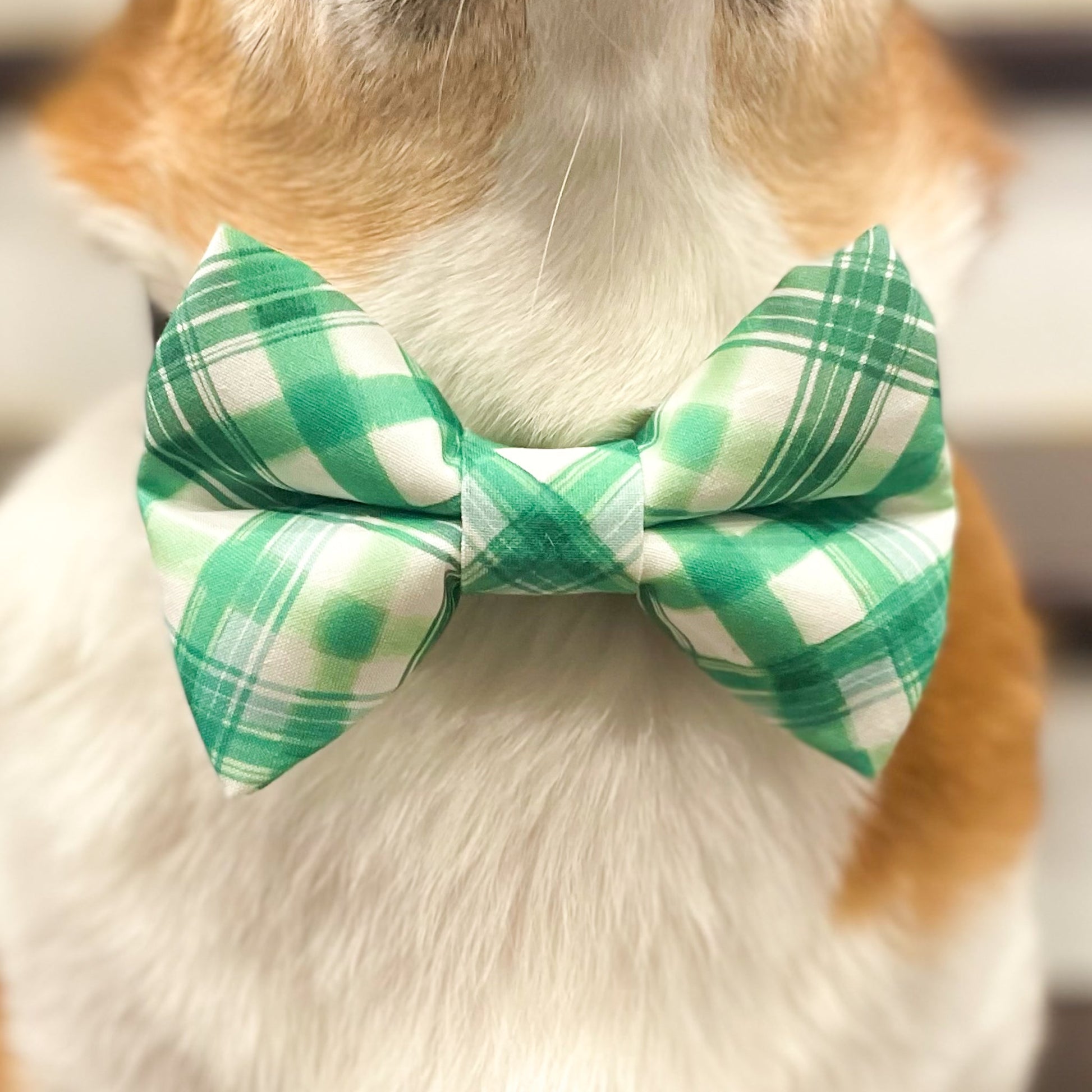 Pup Paw Apparel Co. - Shamrock Bowtie - Bowtie